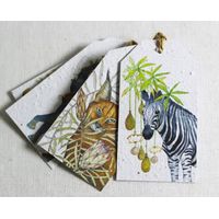 Growing Paper In The Veld Tags